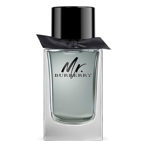 mr burberry fragrance notes|burberry perfume my chemist.